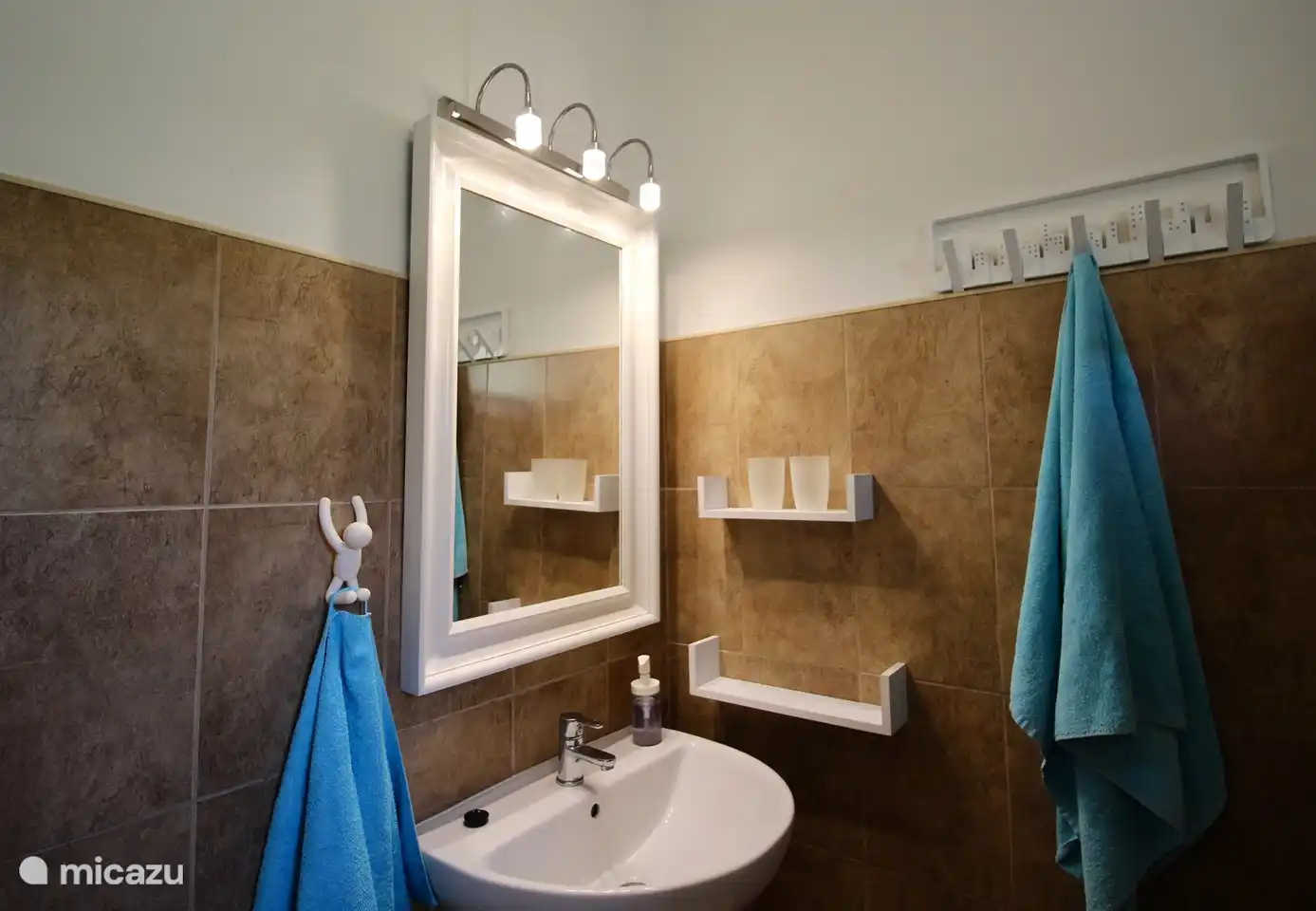 Salle de bain en suite