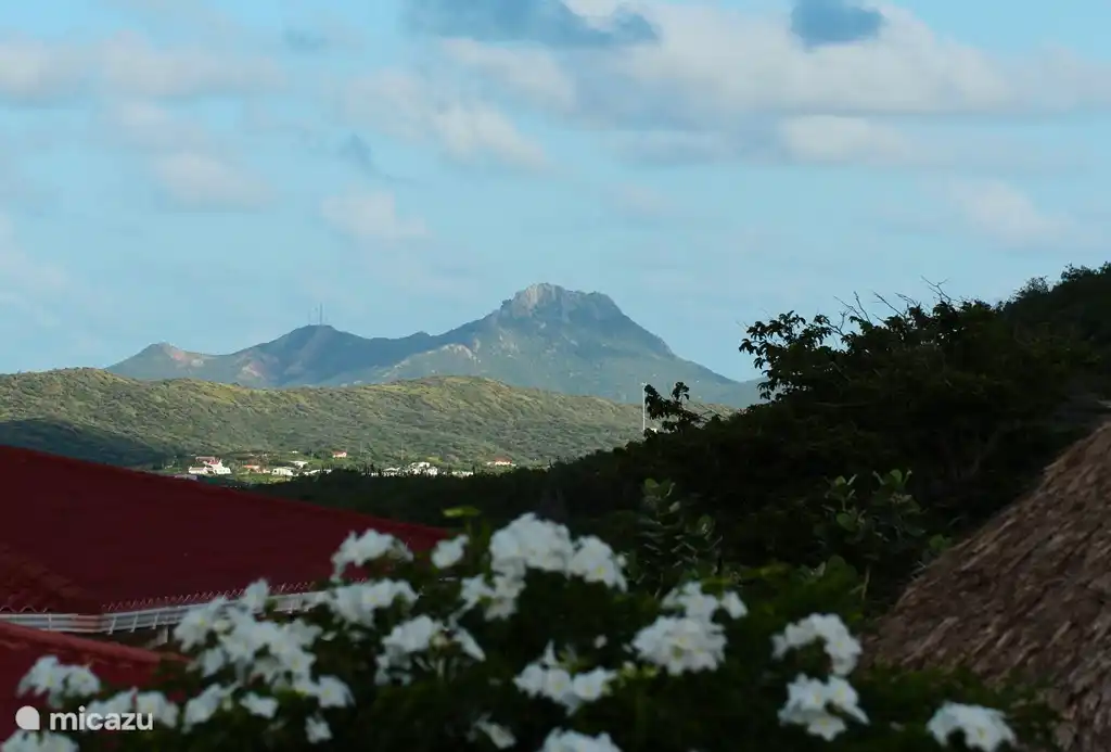 Vue sur la montagne Christoffel