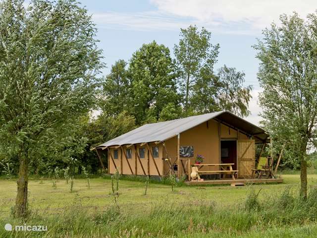 Casa vacacional Países Bajos, Groniga, Lettelbert - camping con glamour/yurta/tienda safari En el Diepje 4-p. tienda safari