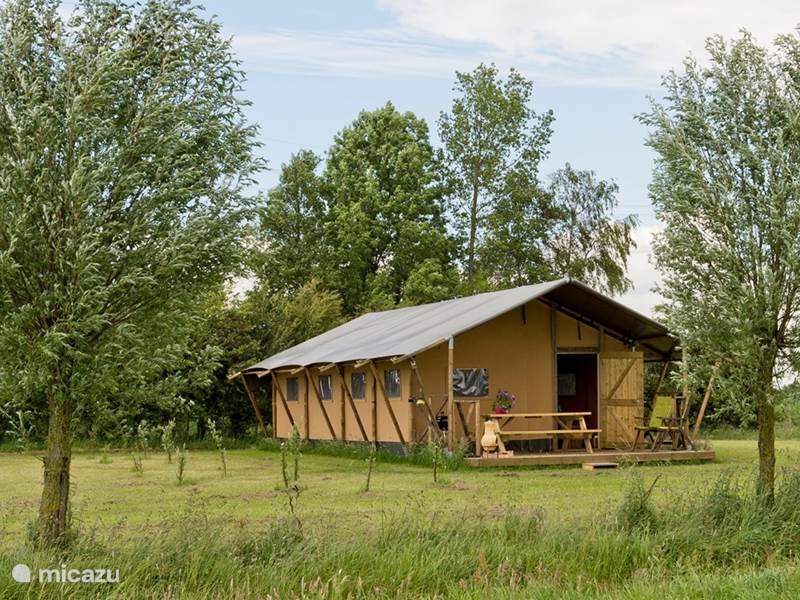 Maison de Vacances Pays-Bas, Groningue, Lettelbert Glamping / Tente Safari / Yourte Au Diepje 4-p. Tente safari