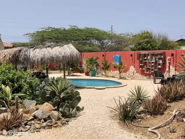 Casa Alto Vista | Aruba, Nord, Alto Vista - maison de vacances Vue de la piscine depuis l'arrière du jardin