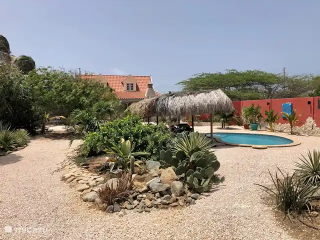 Casa Alto Vista | Aruba, Nord, Alto Vista - maison de vacances Vue depuis l'arrière du jardin