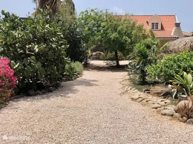 Casa Alto Vista | Aruba, Nord, Alto Vista - maison de vacances Vue de l'arrière du jardin sur la maison
