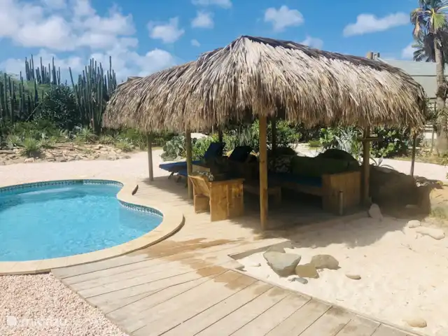 Casa Alto Vista | Aruba, Nord, Alto Vista - maison de vacances Piscine avec palapa pour l'ombre
