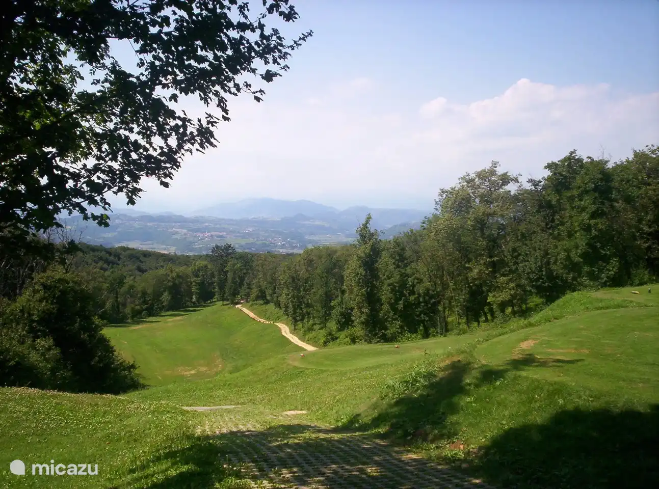 Bewaldeter Golfplatz.
