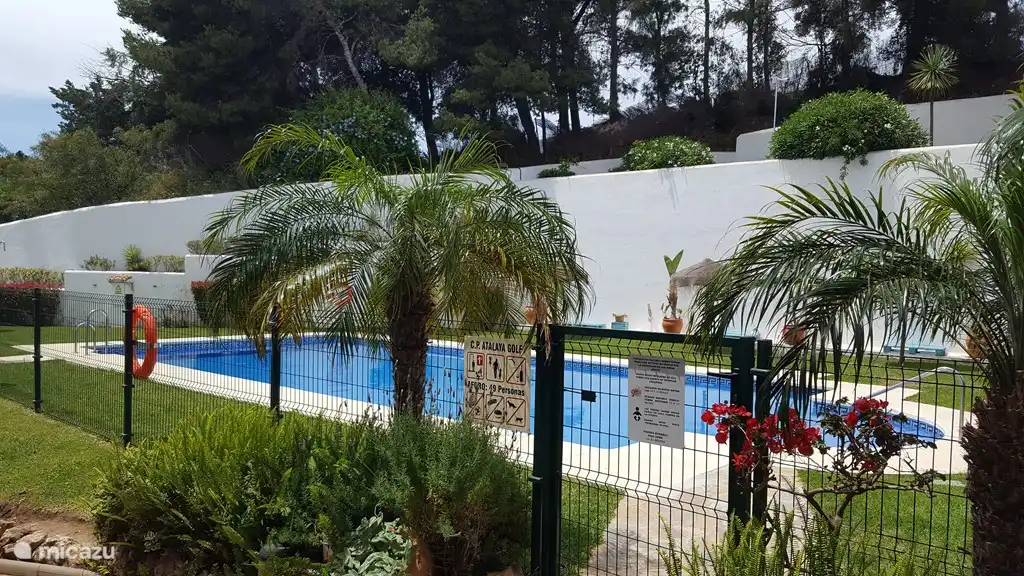 Der Pool befindet sich in einem gepflegten privaten Garten