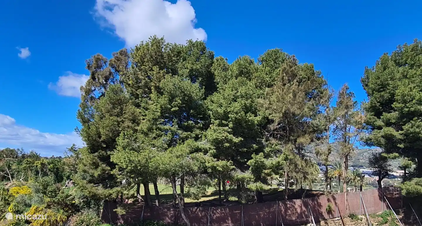 Blick von der Küche auf den Golfplatz