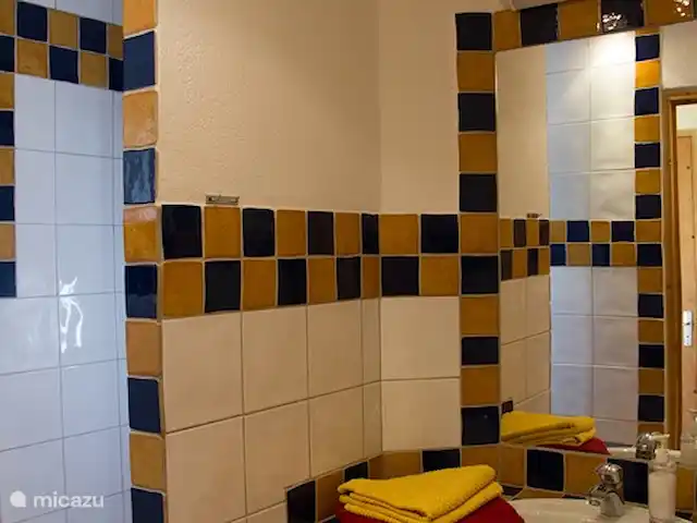 La Maisonnette, casa de campo en la naturaleza en Francia, Aude, Sonnac-sur-l'Hers - casa vacacional El segundo baño está en la planta baja. También hay un aseo separado.