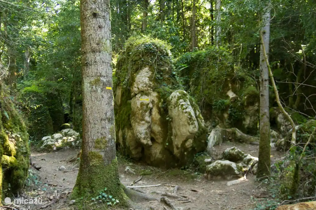 Wunderbare Spaziergänge kann man in das grüne Labyrinth machen