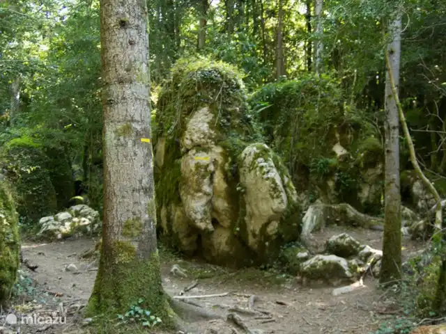La Maisonnette, casa de campo en la naturaleza en Francia, Aude, Sonnac-sur-l'Hers - casa vacacional Se pueden realizar hermosos paseos en el laberinto verde