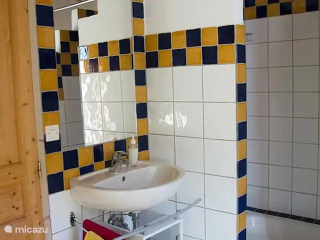 La Maisonnette, casa de campo en la naturaleza en Francia, Aude, Sonnac-sur-l'Hers - casa vacacional El cuarto de baño con ducha, inodoro y lavabo.
