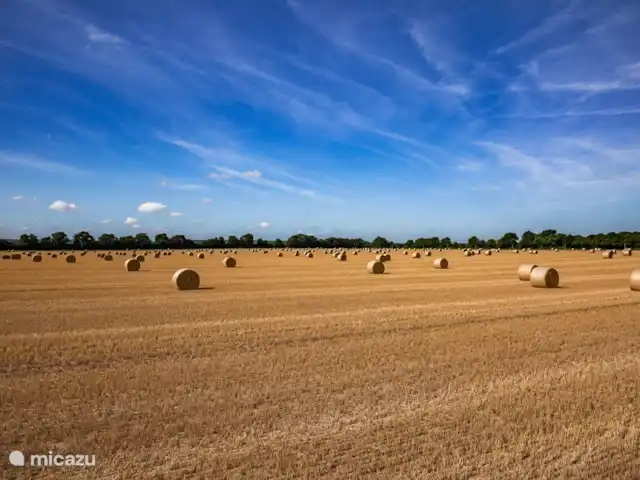 Les Giraudors | France, Loire, Saint-Firmin-sur-Loire - maison de vacances Alentours
