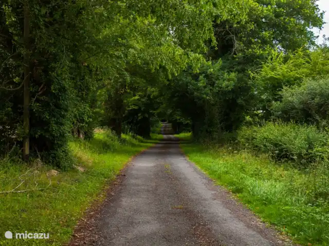 Les Giraudors | France, Loire, Saint-Firmin-sur-Loire - maison de vacances Alentours.