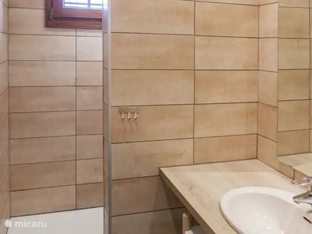 Les Giraudors | France, Loire, Saint-Firmin-sur-Loire - maison de vacances La salle de bain.