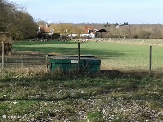 Les Giraudors | France, Loire, Saint-Firmin-sur-Loire - maison de vacances autour de la maison.