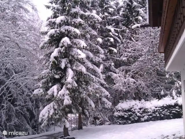 Q alm planta baja en Austria, Tirol, Maurach - chalet En el invierno