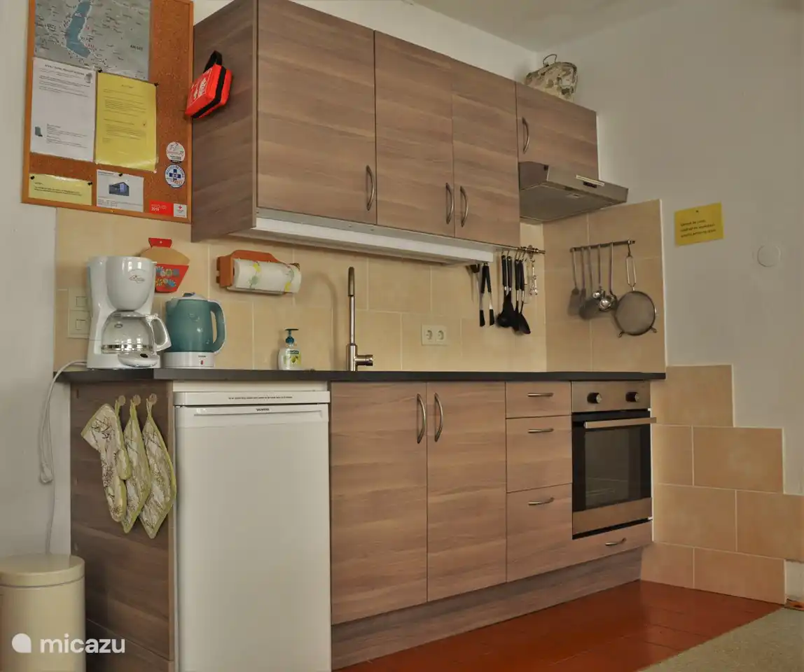 Open kitchen with induction hob and oven