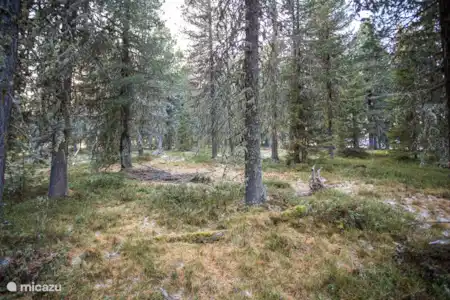 Chalet Ferienspass In Stadl An Der Mur Stiermarken Huren