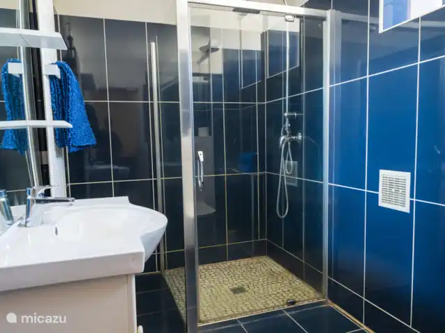 amarie en Francia, Dordoña, Saint-Romain-de-Monpazier - casa vacacional Cuarto de baño en la planta baja con ducha, lavabo e inodoro.