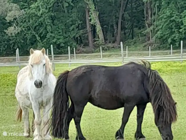 amarie en Francia, Dordoña, Saint-Romain-de-Monpazier - casa vacacional Óscar y Amazon