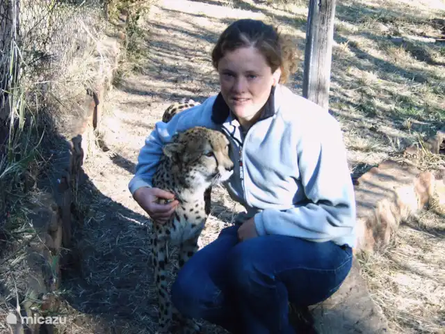 amarie en Francia, Dordoña, Saint-Romain-de-Monpazier - casa vacacional prácticas en Sudáfrica con guepardos