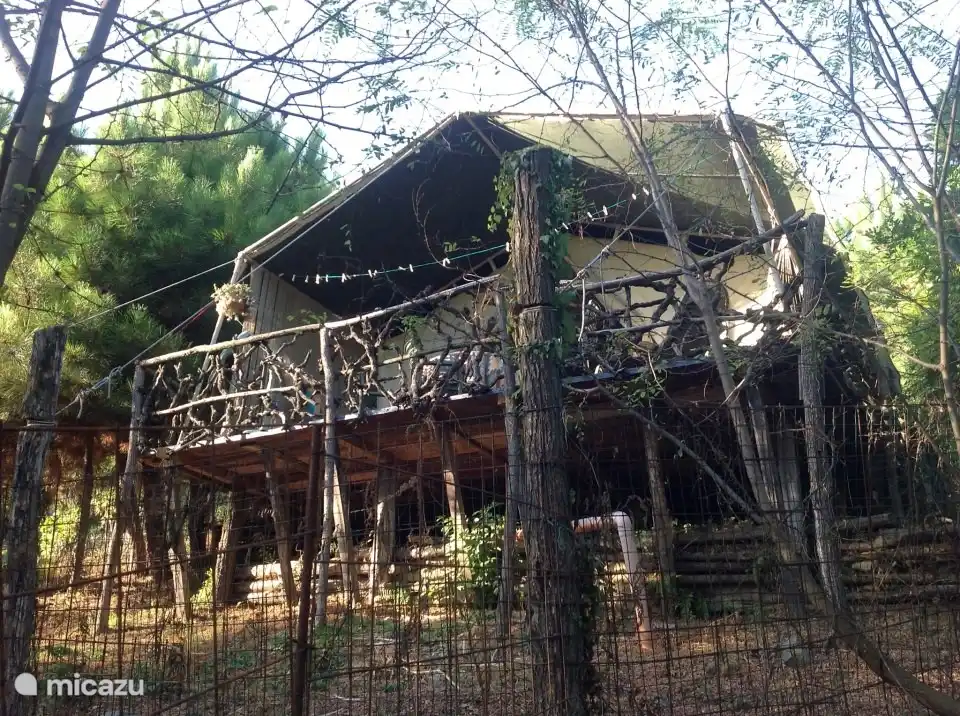 Safari-Zelt Benjamino.