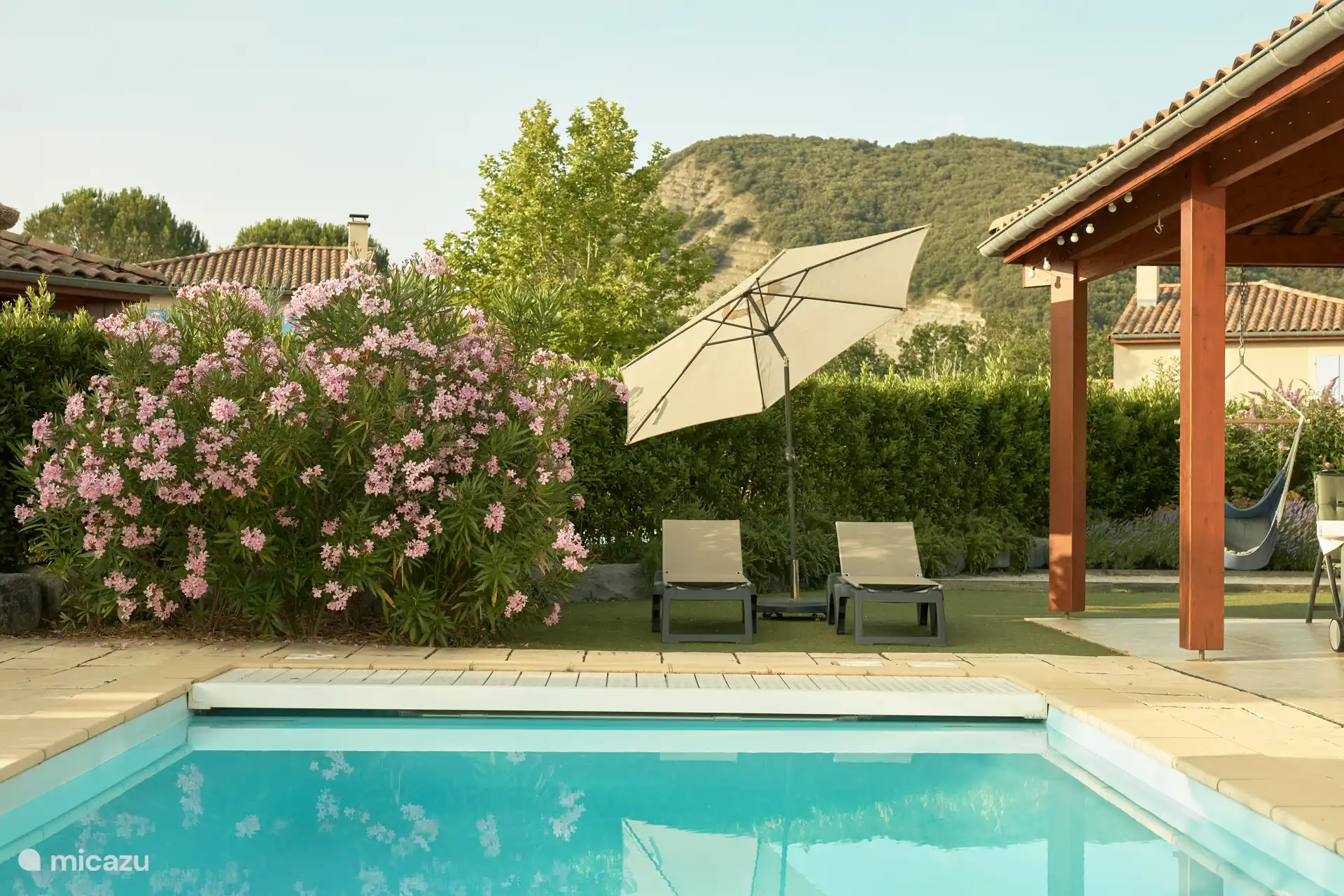 Hermosos adelfas floridas alrededor de la piscina.