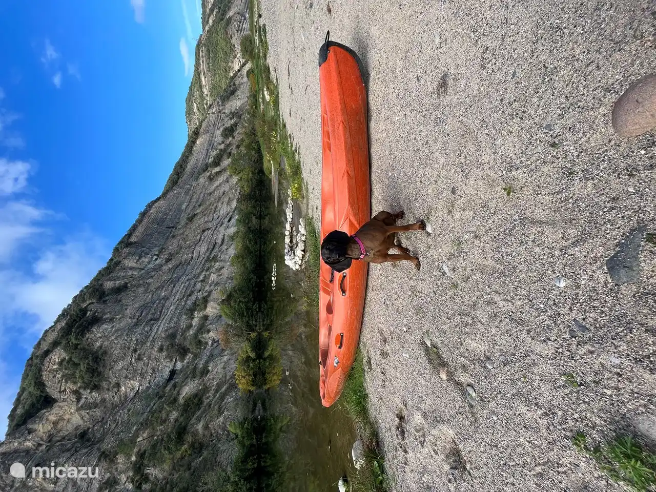 Huisdieren zijn toegestaan mits aangemeld en onder appèl