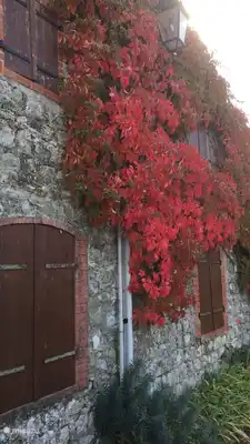 De berg Sampzon kleurt schitterend in de herfst