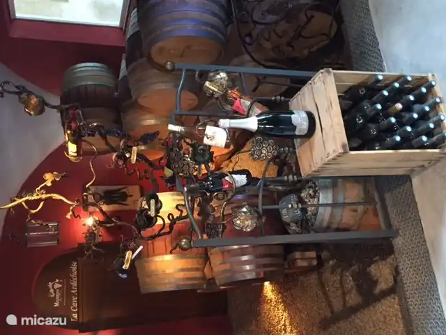 Overal in de streek vindt u wijncaves waar u de heerlijkste wijnen kunt proeven en kopen.