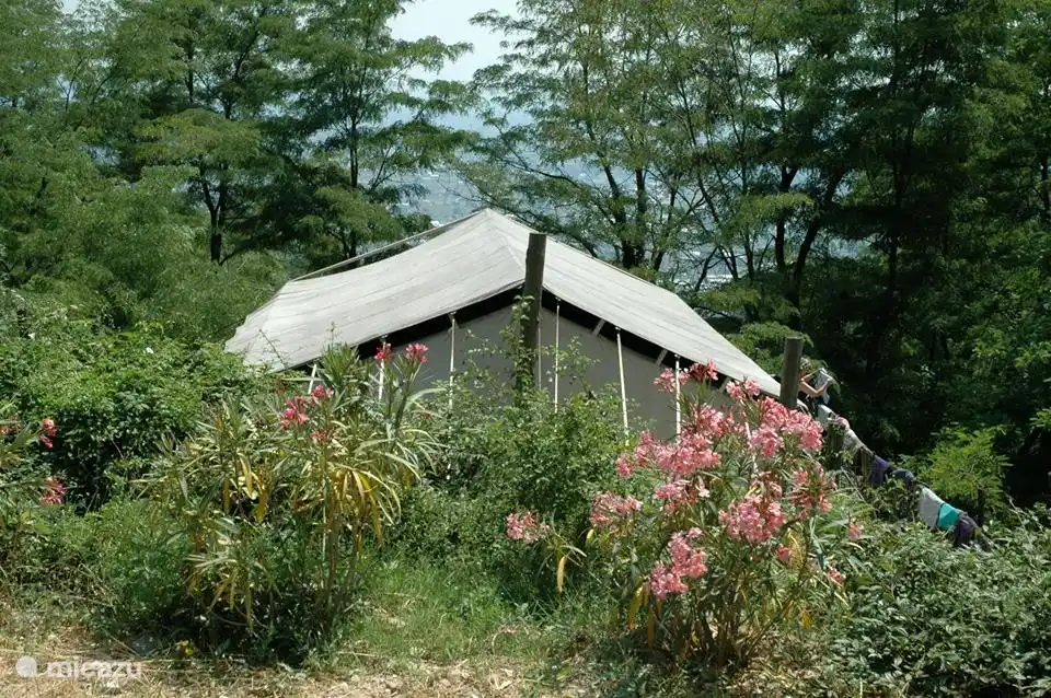 glamping / safarizelt / yurt, Pescia, Toskana, Italien - Glückliche Donkeys Safari-Zelt Timo