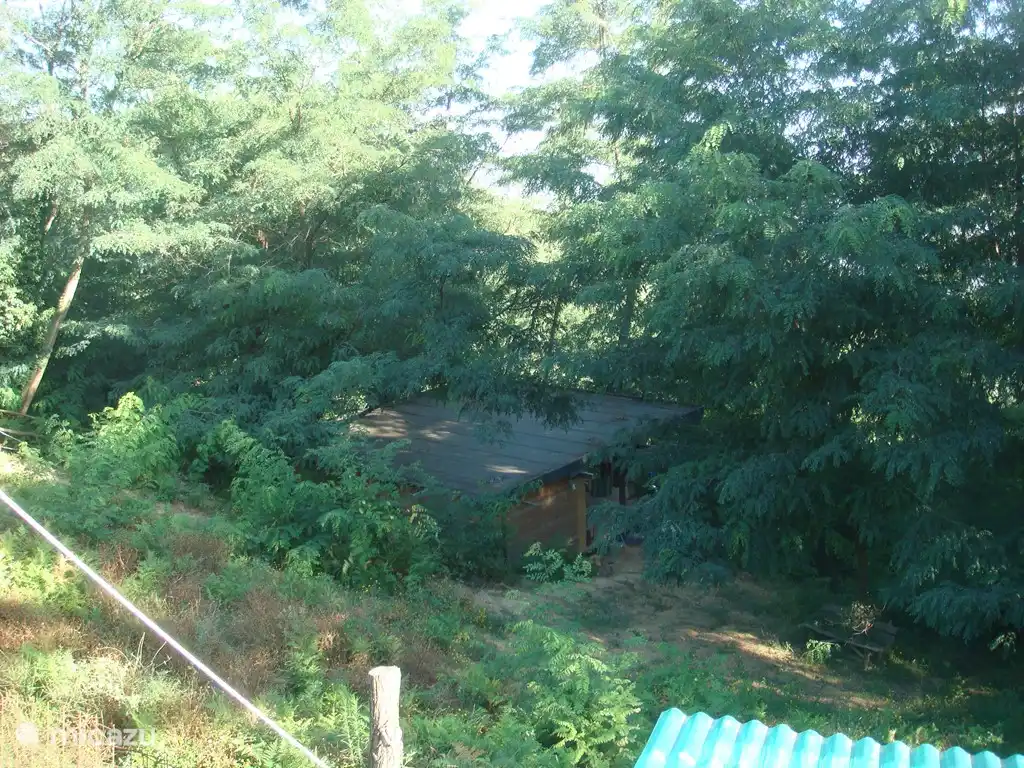 Die Lodge hinunter in den Wald.