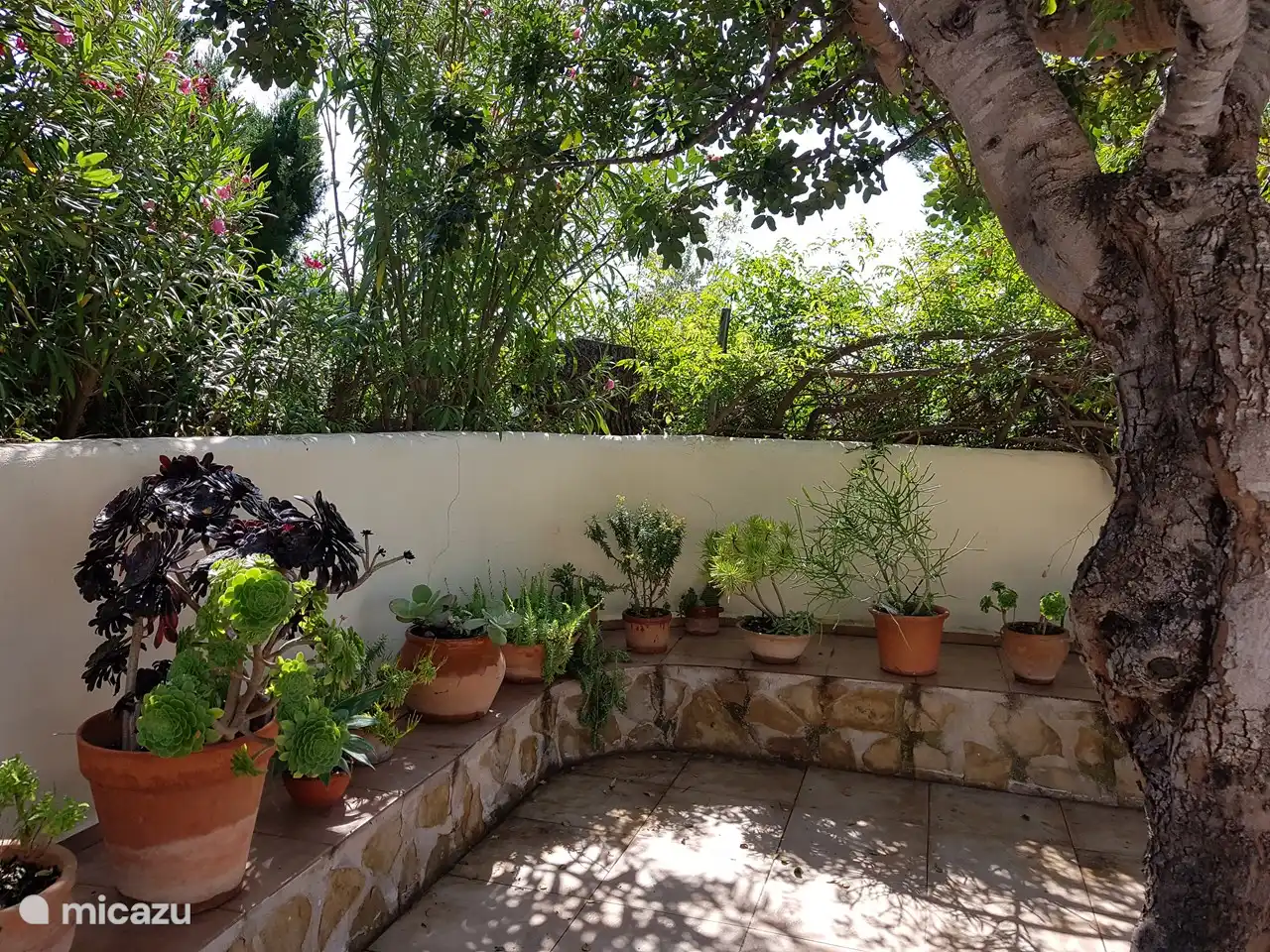 Ein kleines Stück Garten