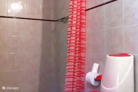 Vacation rental Colombia, Tolima, Ibagué - finca El Holandés shower room