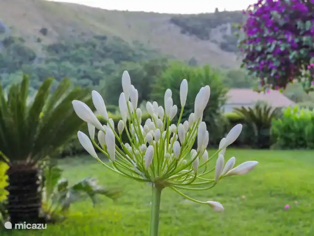 vakantiehuis huren in Italië, Basilicata, Maratea – Casa Pantana