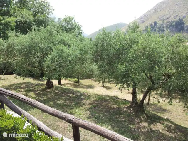 vakantiehuis huren in Italië, Basilicata, Maratea – Casa Pantana