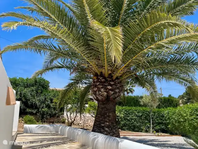 Casa Soñar La Fustera Benissa en España, Costa Blanca, Benissa - villa La palmera no debe faltar