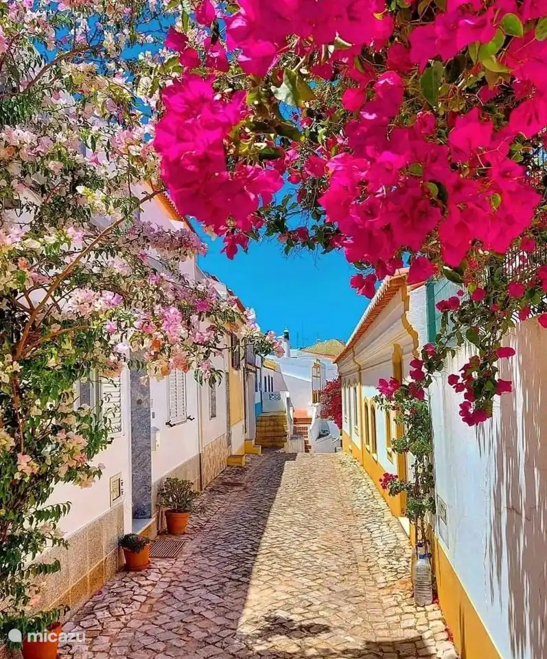 Ruelle riche en fleurs à Ferragudo