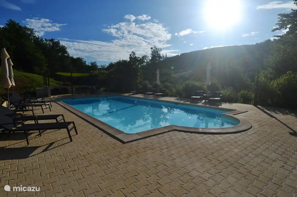 The morning sun over the pool
