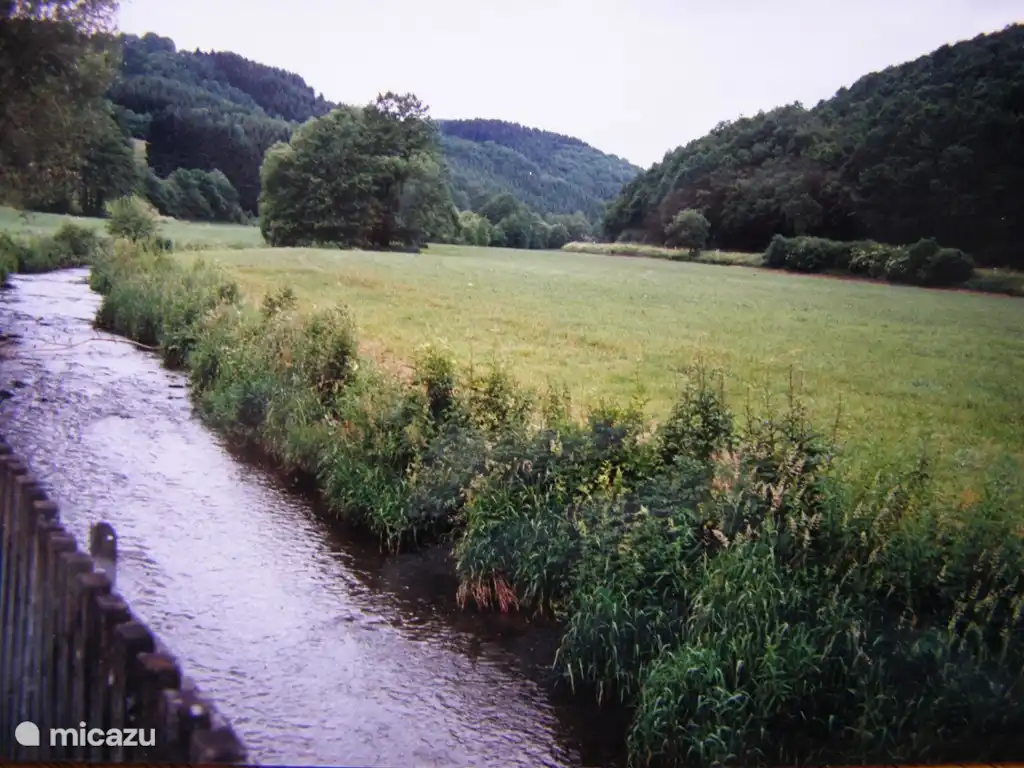 Nimsdal hinter unserem Haus.