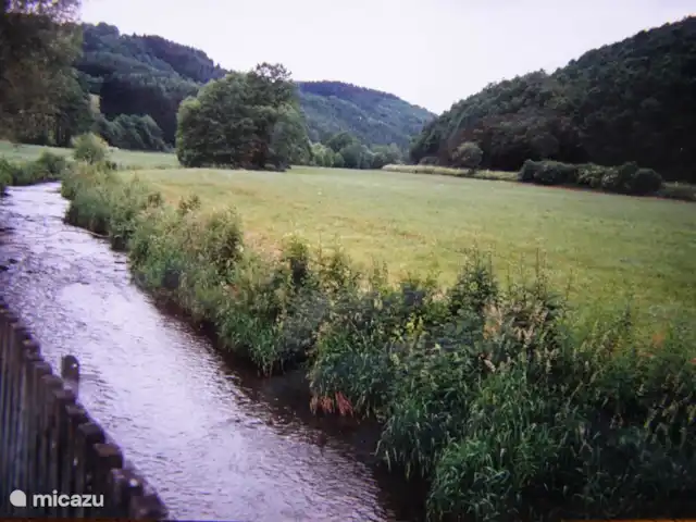 Location de Vacances Allemagne, Eifel, Lasel, maison de vacances - Maison de vacances Eifel. Nimsdal. Nimsdal derrière notre maison.