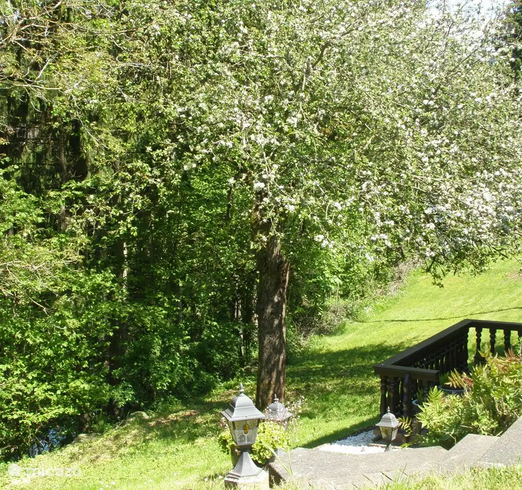 Vakantiehuis Eifel. Nimsdal.