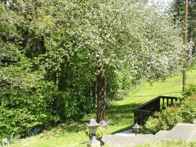 Location de Vacances Allemagne, Eifel, Lasel, maison de vacances - Maison de vacances Eifel. Nimsdal. Jardin