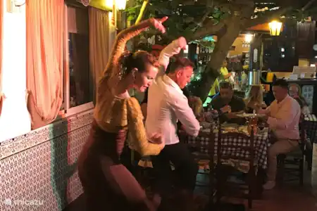 Soirées Flamemco dans divers restaurants