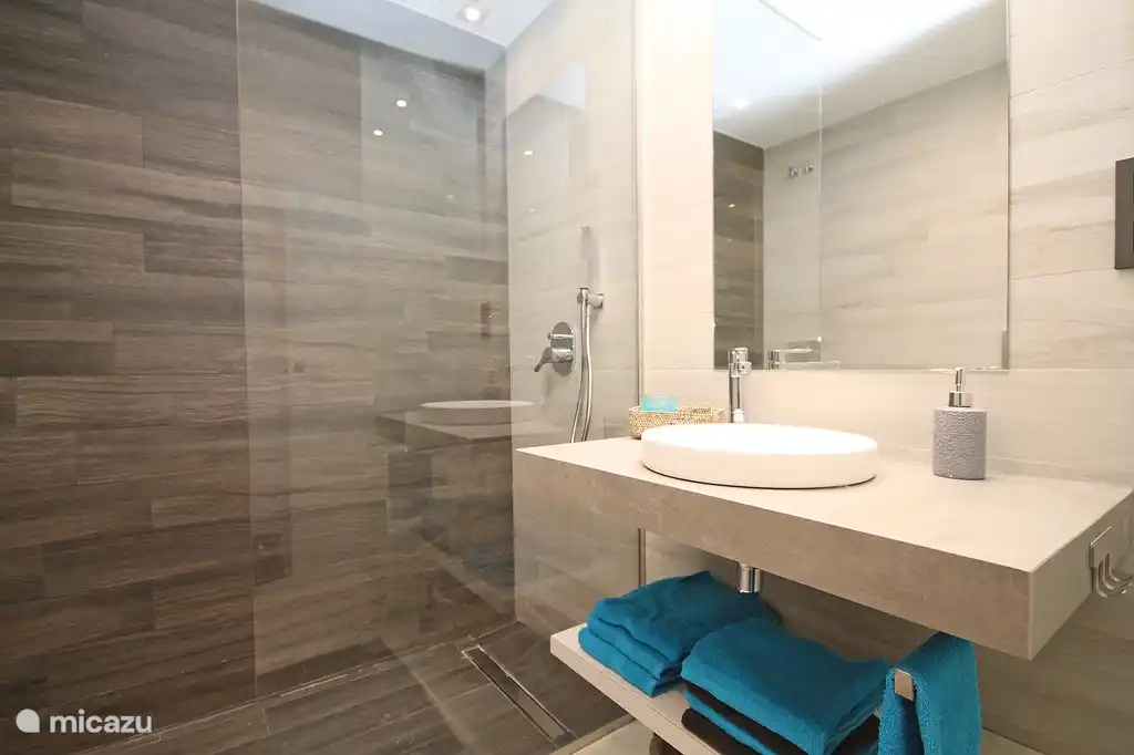 Badkamer met inloopdouche, toilet en wastafel.