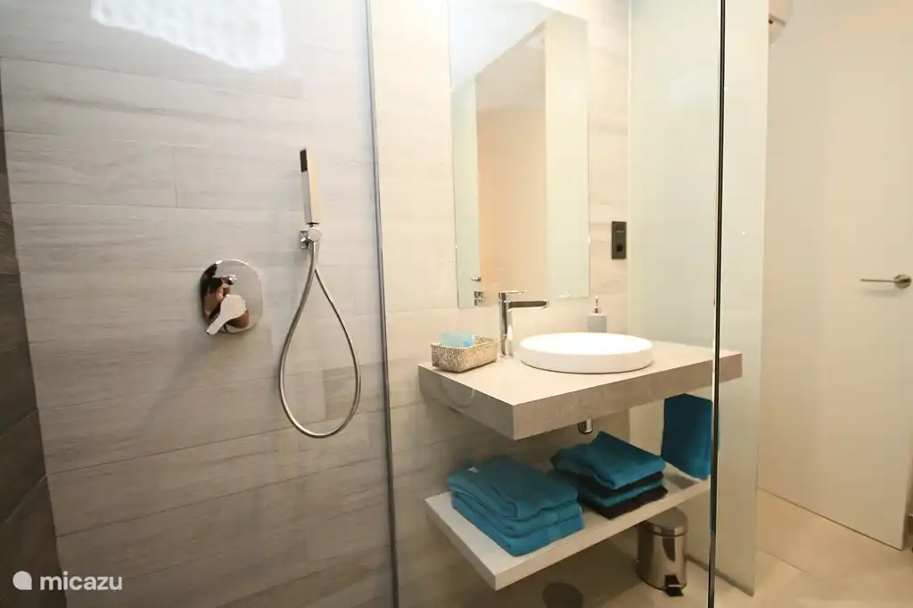 Badkamer met inloopdouche, toilet en wastafel.