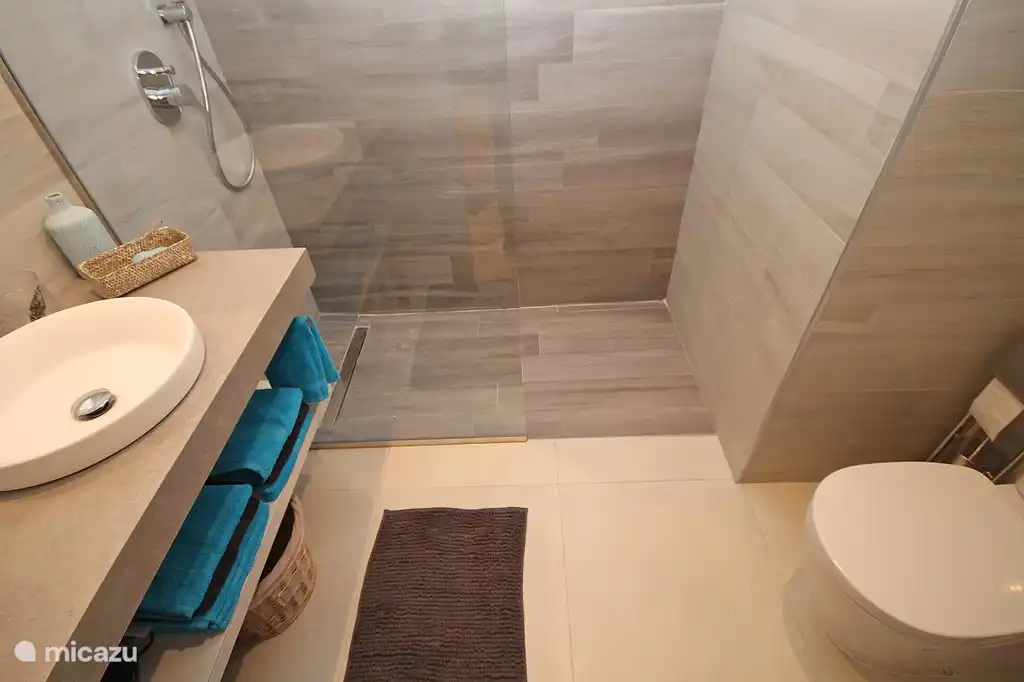 Tweede badkamer met inloopdouche, toilet en wastafel