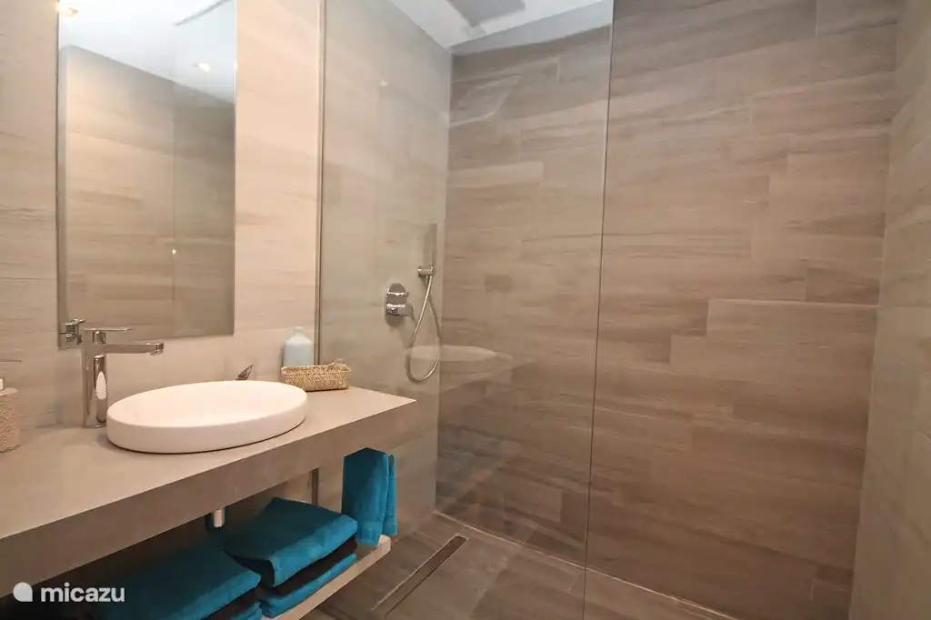 2e badkamer met inloopdouche, toilet en wastafel