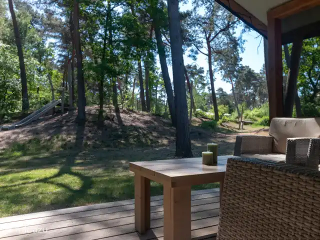 Safari lodge de luxe | Pays-Bas, Overijssel, Raalte - cabane en bois / lodge Safari Lodge Deluxe