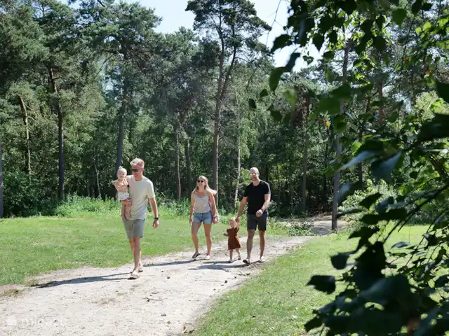 Safari lodge de luxe | Pays-Bas, Overijssel, Raalte - cabane en bois / lodge Safari Lodge Deluxe